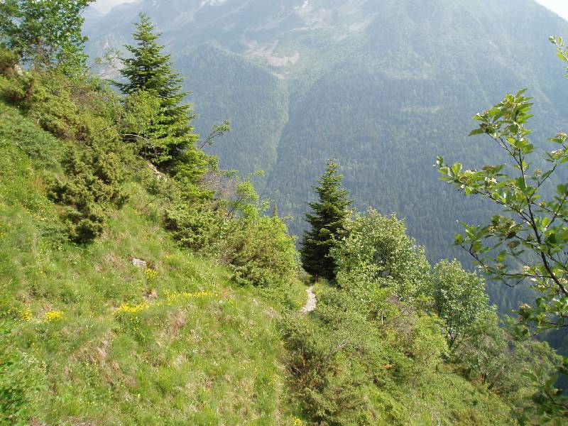 Youri - Ecrins 2005 404 